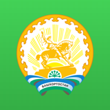 Республика Башкортостан 24017