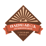 Пушкинское ПЗ 001Р-02